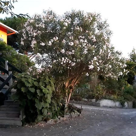 Casa Gwendoline - Albergue / Hostel / Al - Caminho Da Costa วีลาโนวา เด เซอร์เวย์รา ภายนอก รูปภาพ