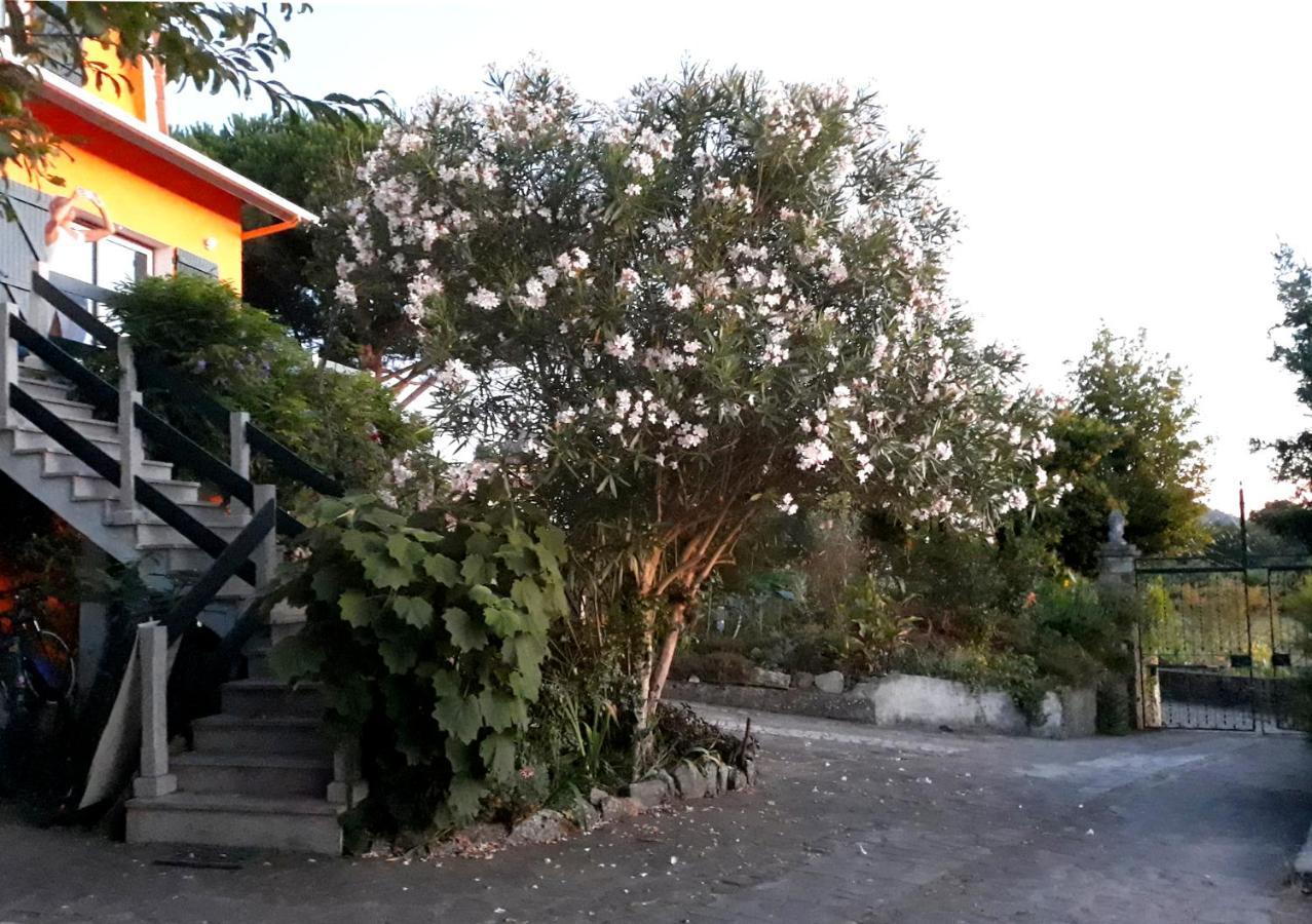 Casa Gwendoline - Albergue / Hostel / Al - Caminho Da Costa วีลาโนวา เด เซอร์เวย์รา ภายนอก รูปภาพ