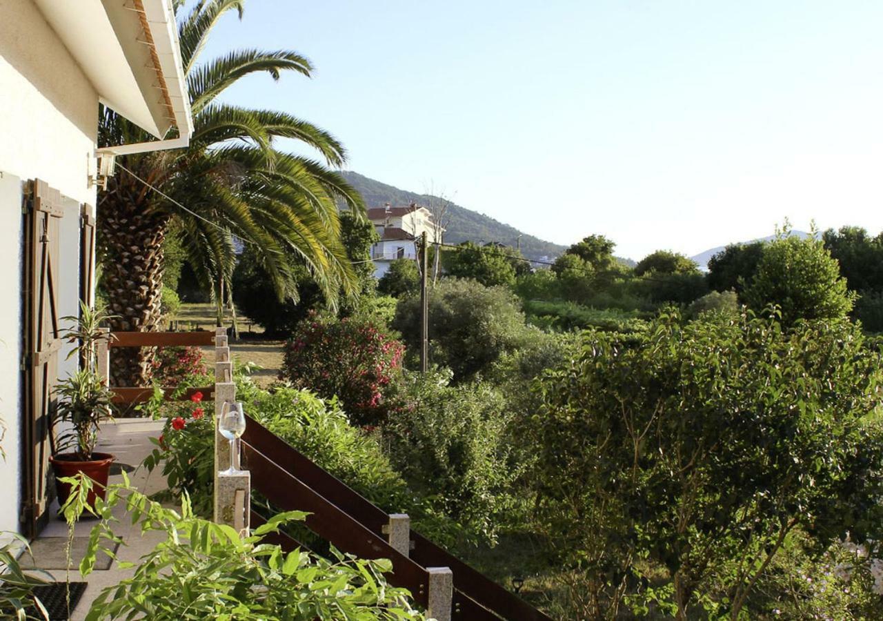 Casa Gwendoline - Albergue / Hostel / Al - Caminho Da Costa วีลาโนวา เด เซอร์เวย์รา ภายนอก รูปภาพ